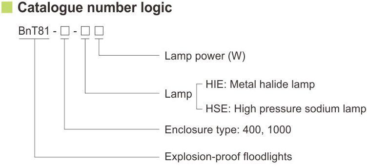 کد گذاری استاندارد پروژکتور ضد انفجار BnT81