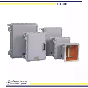 جعبه ترمینال ضد انفجار سری BXJ-IIB برند وارم- آکوتجهیز